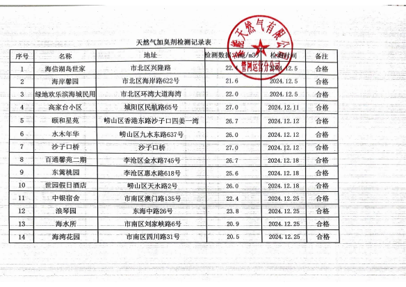 2024年12月《天然氣加臭劑檢測記錄表》_00(1).png